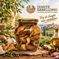 Tris di funghi alla contadina logo nuovo